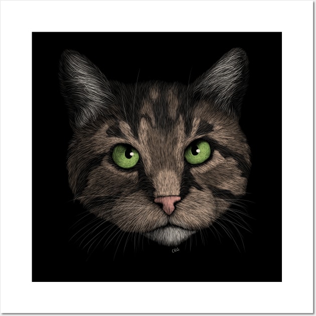 Brown Tabby Cat Wall Art by Walking in Nature
